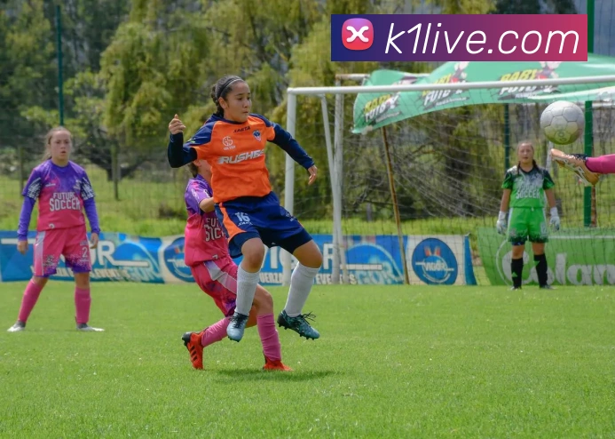 K1体育服务体系